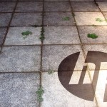 HP-Showroom-Floor-Graphic-(3)